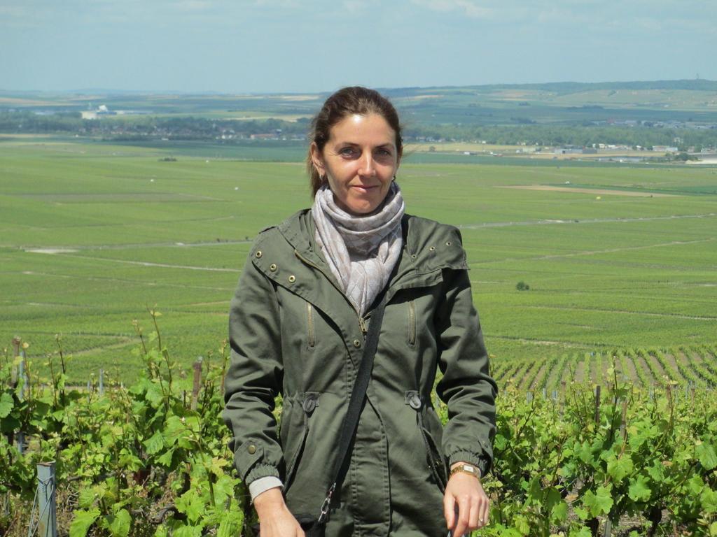 Gites Les Colombages Fatouville-Grestain エクステリア 写真